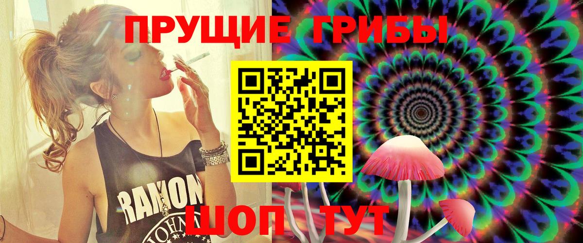 Псилоцибиновые грибы GOLDEN TEACHER  Вход с VPN  Минусинск 